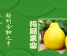梅顺-梅州金柚之乡
