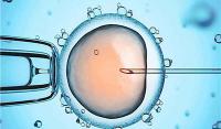 RFG曼谷医院：卵巢早衰做第三代试管婴儿成功率高吗？