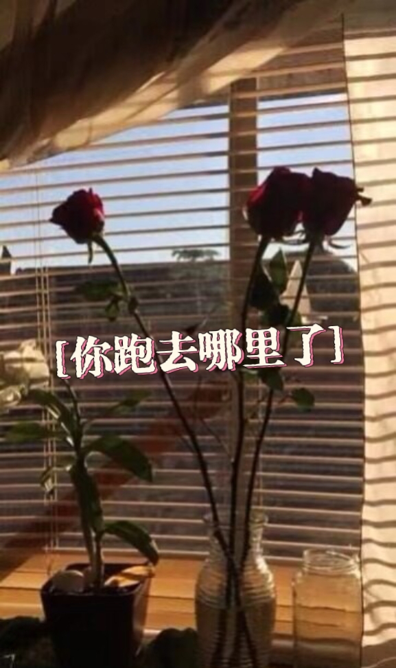 MEITU_20250326_030200059.jpg